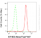 KD-Validated Anti-EIF4E2 Mouse Monoclonal Antibody