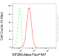 KD-Validated Anti-EIF2B3 Mouse Monoclonal Antibody