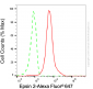 KD-Validated Anti-Epsin 2 Mouse Monoclonal Antibody