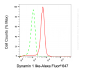 KD-Validated Anti-DNM1L Mouse Monoclonal Antibody
