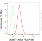 KD-Validated Anti-DDOST Mouse Monoclonal Antibody