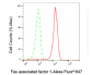 KD-Validated Anti-FAF1 Mouse Monoclonal Antibody