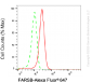 KD-Validated Anti-FARSB Mouse Monoclonal Antibody