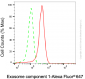 KD-Validated Anti-EXOSC1 Mouse Monoclonal Antibody