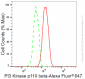 KD-Validated Anti-PI3 Kinase p110 beta Rabbit Monoclonal Antibody