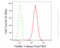KD-Validated Anti-Flotillin 1 Rabbit Monoclonal Antibody