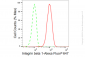 KD-Validated Anti-Integrin β 1 Rabbit Monoclonal Antibody