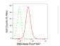 KD-Validated Anti-SSB Mouse Monoclonal Antibody