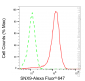 KD-Validated Anti-Sorting Nexin 9 Mouse Monoclonal Antibody