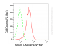 KD-Validated Anti-Sirtuin 5 Mouse Monoclonal Antibody