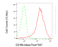 KD-Validated Anti-HMMR Rabbit Monoclonal Antibody