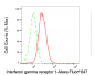 KD-Validated Anti-IFNGR1 Rabbit Monoclonal Antibody
