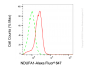 KD-Validated Anti-NDUFA1 Rabbit Monoclonal Antibody