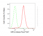 KD-Validated Anti-NPC2 Rabbit Monoclonal Antibody