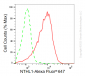 KD-Validated Anti-NTH1 Rabbit Monoclonal Antibody