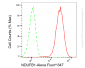 KD-Validated Anti-NDUFB1 Rabbit Monoclonal Antibody