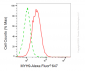 KD-Validated Anti-MYH9 Mouse Monoclonal Antibody