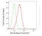KD-Validated Anti-MYH9 Mouse Monoclonal Antibody