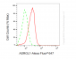 KD-Validated Anti-ASRGL1 Mouse Monoclonal Antibody