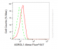 KD-Validated Anti-ASRGL1 Mouse Monoclonal Antibody
