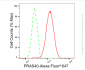 KD-Validated Anti-PRAS40 Rabbit Monoclonal Antibody