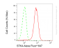 KD-Validated Anti-STK4 Rabbit Monoclonal Antibody