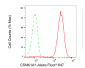 KD-Validated Anti-CSNK1A1 Rabbit Monoclonal Antibody
