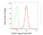 KD-Validated Anti-CXXC1 Rabbit Monoclonal Antibody