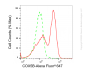 KD-Validated Anti-COX5B Rabbit Monoclonal Antibody
