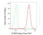 KD-Validated Anti-CPSF6 Rabbit Monoclonal Antibody