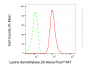 KD-Validated Anti-KDM2A Rabbit Monoclonal Antibody