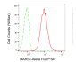 KD-Validated Anti-MARS1 Rabbit Monoclonal Antibody