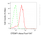KD-Validated Anti-EFEMP1 Rabbit Monoclonal Antibody