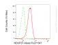 KD-Validated Anti-NDUFS1 Rabbit Monoclonal Antibody
