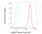 KD-Validated Anti-NAMPT Rabbit Monoclonal Antibody
