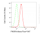 KD-Validated Anti-PIK3R4 Rabbit Monoclonal Antibody