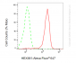 KD-Validated Anti-HEXIM1 Mouse Monoclonal Antibody