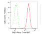KD-Validated Anti-RALY Mouse Oligoclonal Antibody