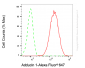 KD-Validated Anti-ADD1 Mouse Oligoclonal Antibody