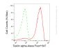 KD-Validated Anti-TXLNA Mouse Oligoclonal Antibody