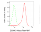 KD-Validated Anti-ZC3HC1 Mouse Oligoclonal Antibody