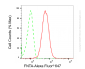 KD-Validated Anti-FNTA Rabbit Monoclonal Antibody