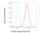 KD-Validated Anti-PTGS1 Rabbit Monoclonal Antibody