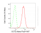 KD-Validated Anti-CCT2 beta Rabbit Monoclonal Antibody