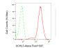 KD-Validated Anti-UCH L5 Rabbit Monoclonal Antibody