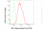 KD-Validated Anti-PKC alpha Rabbit Monoclonal Antibody