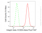 KD-Validated Anti-Integrin β1/CD29 Rabbit Monoclonal Antibody