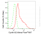 KD-Validated Anti-Cyclin A2 Rabbit Monoclonal Antibody