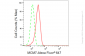 KD-Validated Anti-MCM7 Rabbit Monoclonal Antibody