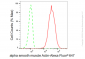 KD-Validated Anti-alpha smooth muscle Actin Rabbit Monoclonal Antibody